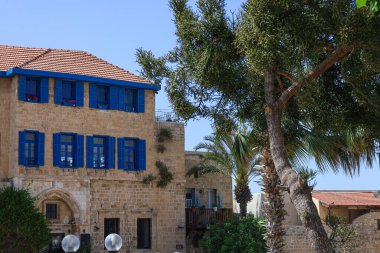 Yaz günü güzel palmiye ağaçları ve binalar manzarası