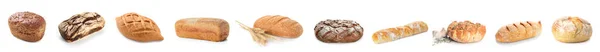 Skupina Čerstvého Chleba Bílém Pozadí — Stock fotografie