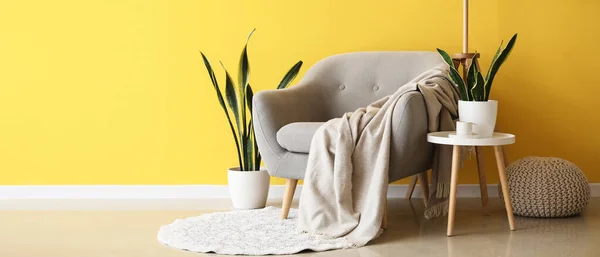 带灰色扶手椅 桌子和室内植物的客厅靠近黄墙 有文字空间 — 图库照片
