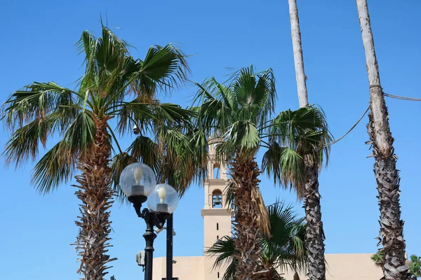 stock image View of beautiful palm trees and street lamp near church on sunny day