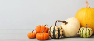 Metin için alanı olan hafif arkaplanda farklı balkabakları