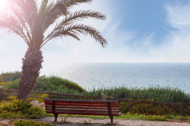 Palmiye ağacının altında, deniz manzaralı.