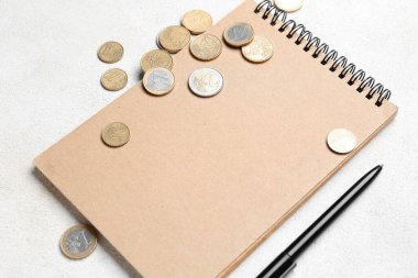 Bozuk paralarla dolu bir defter ve beyaz arka planda bir kalem. Bütçe kavramı