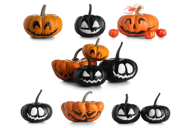 Set Many Halloween Pumpkins White Background — Stock Photo, Image