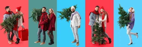 Állítsa Emberek Karácsonyfák Színes Háttér — Stock Fotó