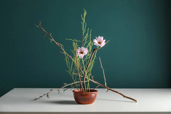 Renk Duvarının Yanındaki Masada Güzel Ikebana Esrar — Stok fotoğraf