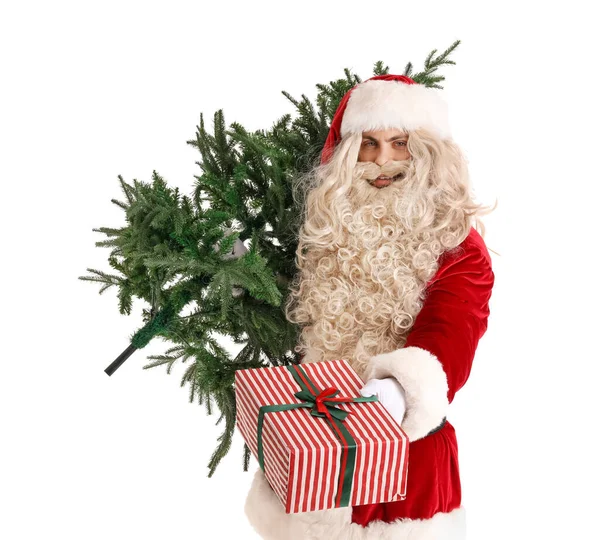 Weihnachtsmann Mit Weihnachtsbaum Und Geschenk Auf Weißem Hintergrund — Stockfoto
