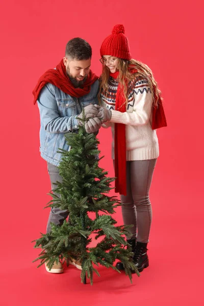 Jeune Couple Avec Arbre Noël Sur Fond Rouge — Photo