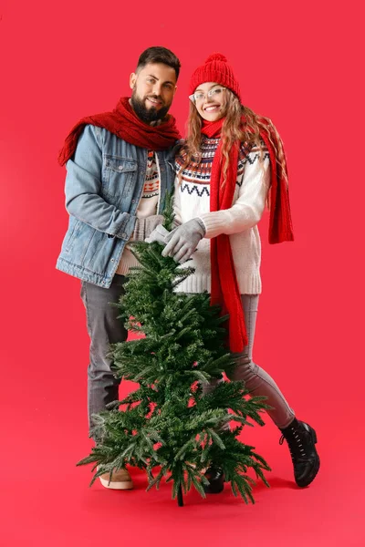 Young Couple Christmas Tree Red Background — Stock Photo, Image