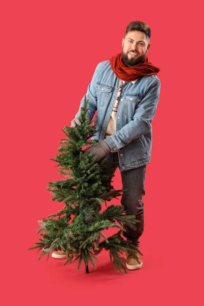 ハンサムな男とともにクリスマスツリー上の赤い背景 — ストック写真