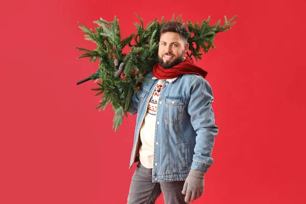 Schöner Mann Mit Weihnachtsbaum Auf Rotem Hintergrund — Stockfoto