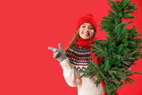 Junge Frau Mit Weihnachtsbaum Zeigt Auf Etwas Auf Rotem Hintergrund — Stockfoto