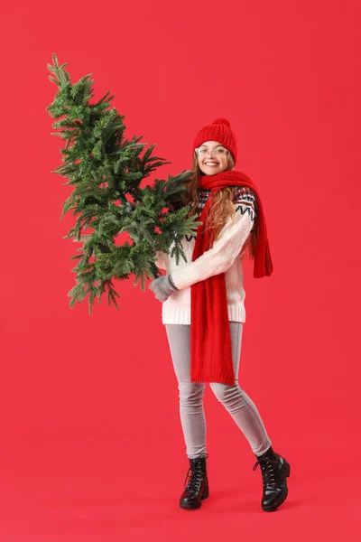 Jovem Com Árvore Natal Fundo Vermelho — Fotografia de Stock