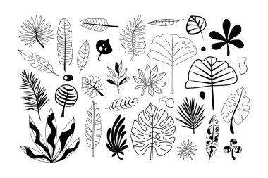 Beyaz arkaplanda birçok çizilmiş bitki kümesi