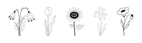 白色背景的一组拔出的开花植物 — 图库矢量图片
