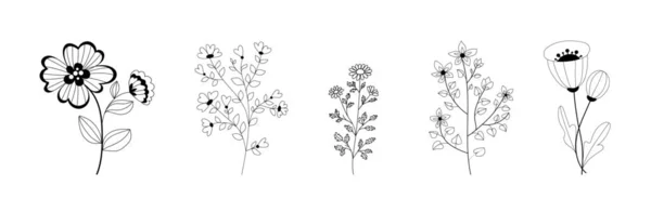 Conjunto Plantas Florecientes Dibujadas Sobre Fondo Blanco — Archivo Imágenes Vectoriales