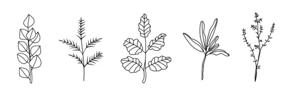 白地に多数の植物が描かれている — ストックベクタ