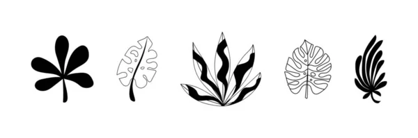 Beyaz Arkaplanda Birçok Çizilmiş Bitki Kümesi — Stok Vektör