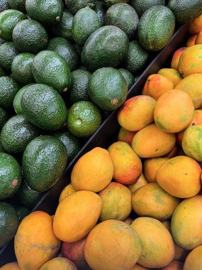 Arka plan olarak lezzetli avokadolar ve mangolar.