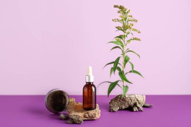 Taşlı kozmetik damlatıcı şişesi, ikebana kenzanları ve renk arkaplanlı bitki dalı