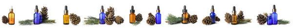 Set Pine Cone Essential Oil Bottles White Background — Stock Photo, Image