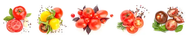 Kolekcja Świeżych Pomidorów Bazylią Przyprawami Białym Tle — Zdjęcie stockowe