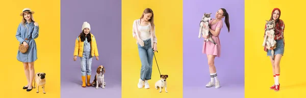 色の背景にかわいい犬と女性と女の子のセット — ストック写真