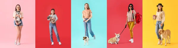 Collage Donne Bambina Con Simpatici Cani Sfondo Colore — Foto Stock