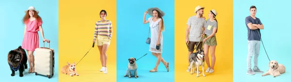 Группа Людей Симпатичными Собаками Цветном Фоне — стоковое фото