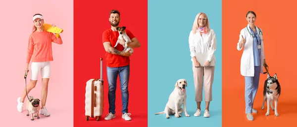 Collage Von Menschen Mit Niedlichen Hunden Auf Farbigem Hintergrund — Stockfoto