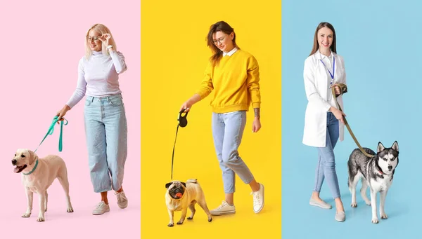 Collage Women Cute Dogs Color Background — Stock Photo, Image