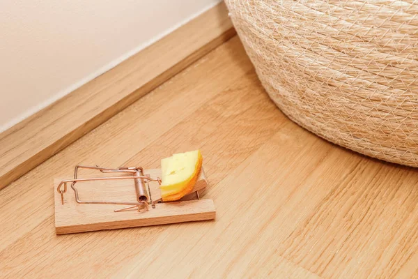 Mousetrap Cheese Floor Room — Stock Photo, Image