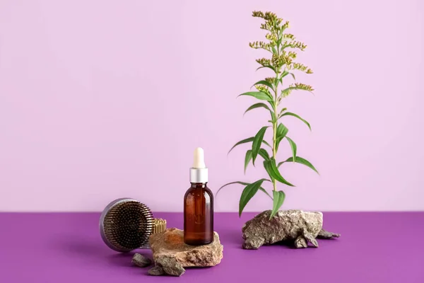 Botol Dropper Kosmetik Dengan Batu Ikebana Kenzans Dan Cabang Tanaman — Stok Foto