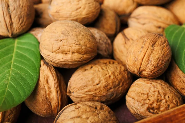 Fresh Walnuts Background Closeup — Stock Photo, Image