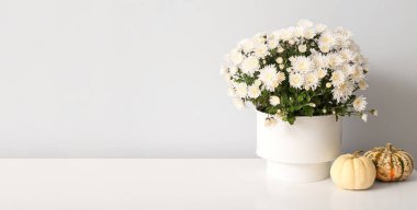 Işık duvarının yanındaki masada güzel kasımpatı çiçekleri ve balkabakları olan çömlek. Tasarım için pankart