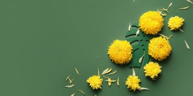 Yeşil arkaplanda sarı kasımpatı çiçekleri ve metin için boşluk