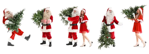 복장을 사람들 크리스마스 트리를 사람들 — 스톡 사진