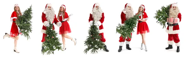 Menschen Weihnachtsmannkostümen Mit Weihnachtsbäumen Auf Weißem Hintergrund — Stockfoto