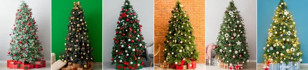 Colagem Belas Árvores Natal Com Presentes Perto Parede Quarto — Fotografia de Stock