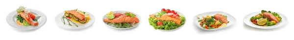 배경에 맛있는 연어와 야채가 접시들 — 스톡 사진