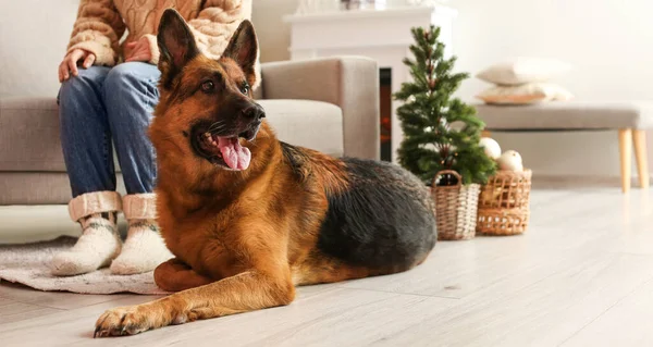 Vrouw Met Schattige Duitse Herder Hond Thuis Kerstavond — Stockfoto