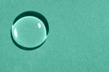 Nane arkaplanındaki su damlasının yakın görüntüsü