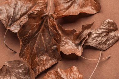 Kahverengi arkaplanda kuru yaprakların yakın görünümü