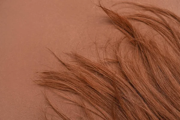 茶色の背景に髪のクローズアップビュー — ストック写真