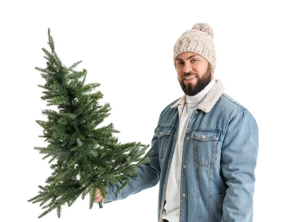 Knappe Man Met Kerstboom Witte Achtergrond — Stockfoto