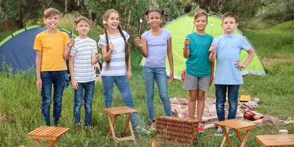 Children Roasted Marshmallows Summer Camp — Stock Photo, Image