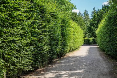 Yeşil Park 'ta güzel bir sokak