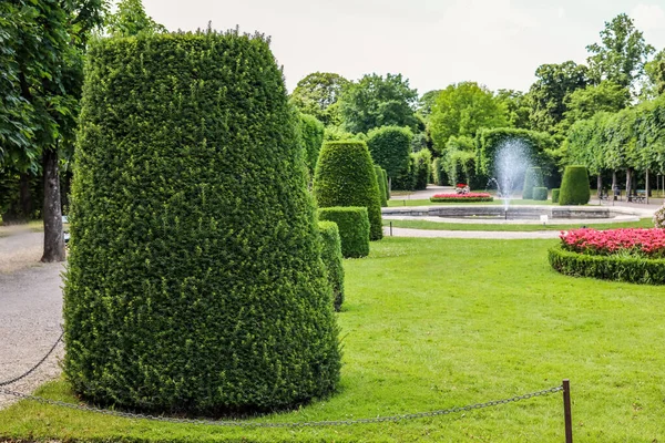 Green Cut Bushes Fountain Beautiful Park — Stock Photo, Image