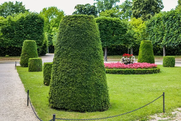 Grün Geschnittene Sträucher Und Blumen Schönem Park — Stockfoto