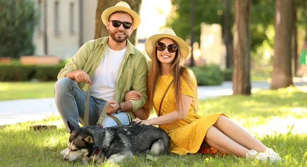Junges Paar Mit Süßem Husky Hund Sitzt Auf Grünem Gras — Stockfoto